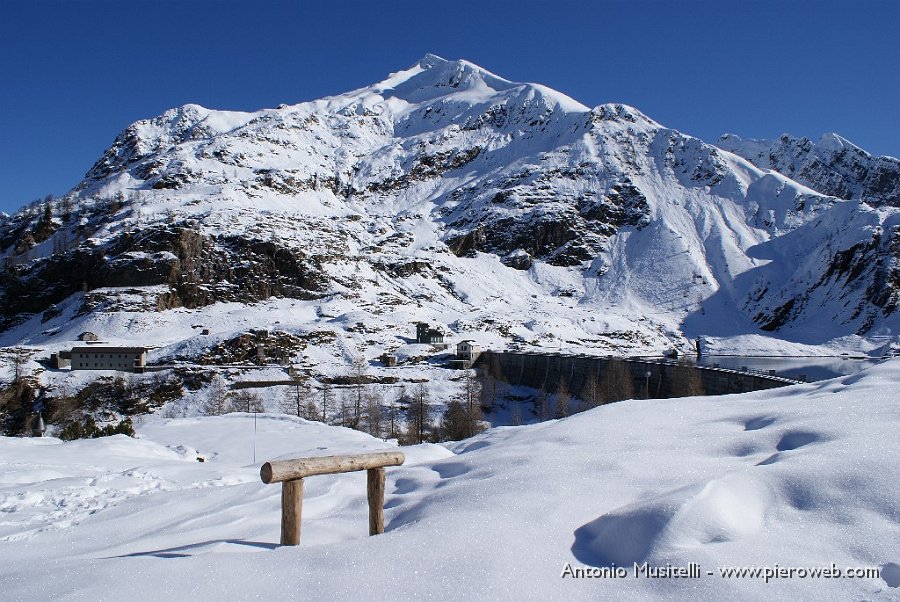 05 Il Pizzo Farno dal Rif. Laghi Gemelli.JPG